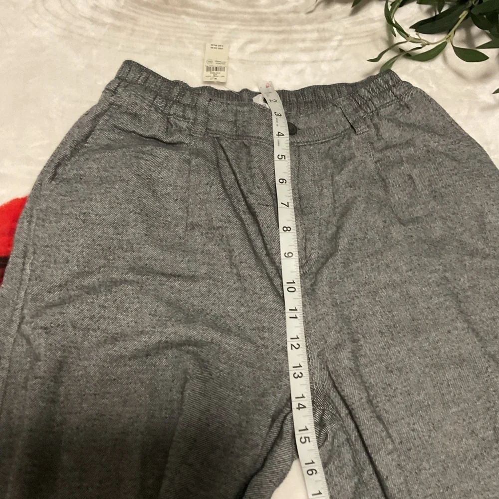 Aerie Men's Charcoal Chinos